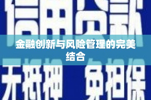 西吉金融创新与风险管理的完美结合