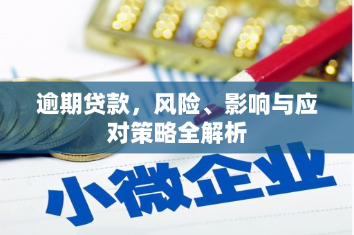 西吉逾期贷款，风险、影响与应对策略全解析