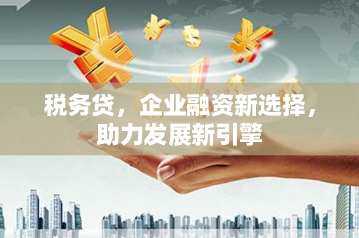 西吉税务贷，企业融资新选择，助力发展新引擎
