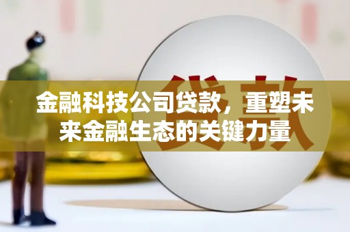 西吉金融科技公司贷款，重塑未来金融生态的关键力量