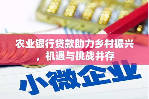 西吉农业银行贷款助力乡村振兴，机遇与挑战并存