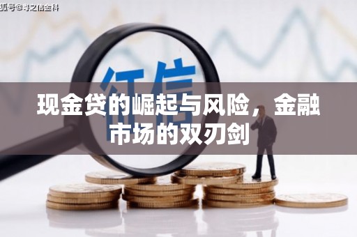 西吉现金贷的崛起与风险，金融市场的双刃剑