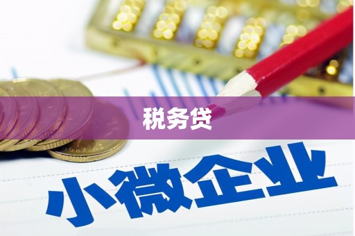 西吉税务贷