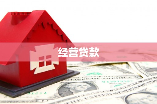 西吉经营贷款