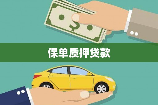 西吉保单质押贷款