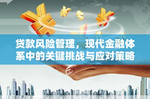 西吉贷款风险管理，现代金融体系中的关键挑战与应对策略