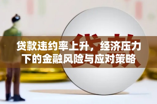 西吉贷款违约率上升，经济压力下的金融风险与应对策略