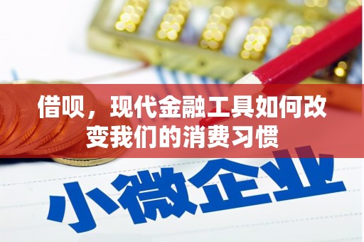 西吉借呗，现代金融工具如何改变我们的消费习惯