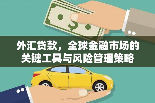 西吉外汇贷款，全球金融市场的关键工具与风险管理策略