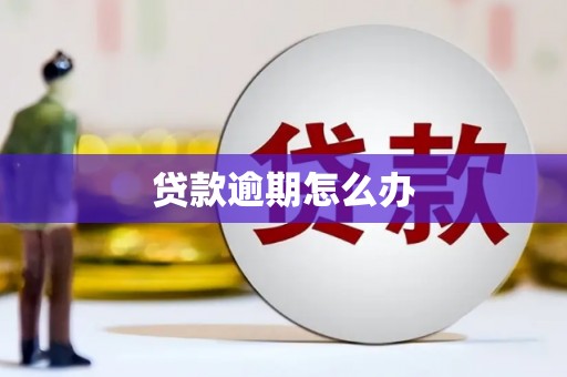 西吉贷款逾期怎么办