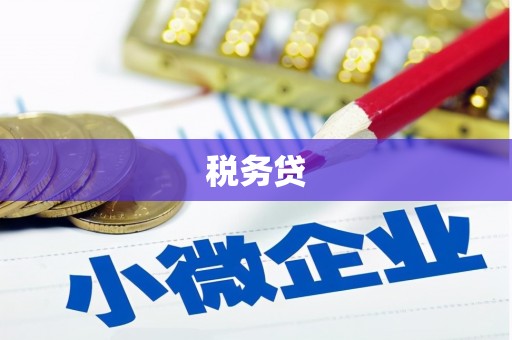 西吉税务贷