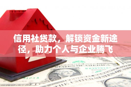 西吉信用社贷款，解锁资金新途径，助力个人与企业腾飞