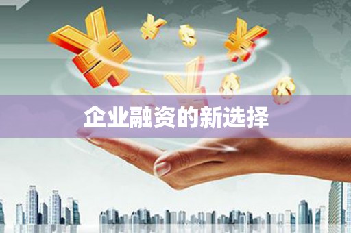 西吉企业融资的新选择