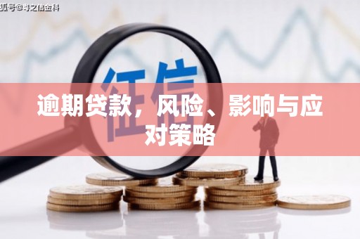 西吉逾期贷款，风险、影响与应对策略