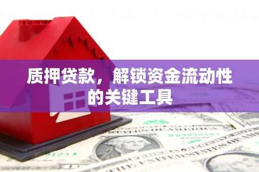 西吉质押贷款，解锁资金流动性的关键工具
