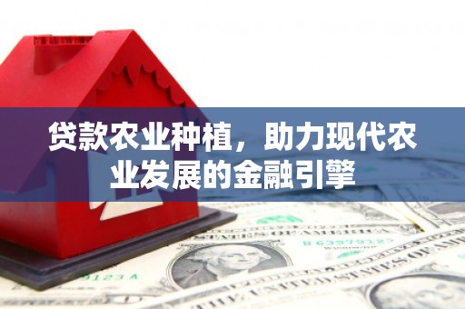 西吉贷款农业种植，助力现代农业发展的金融引擎