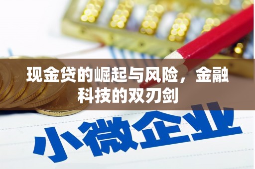 西吉现金贷的崛起与风险，金融科技的双刃剑