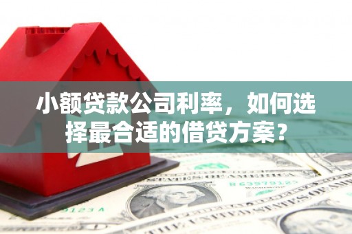 西吉小额贷款公司利率，如何选择最合适的借贷方案？