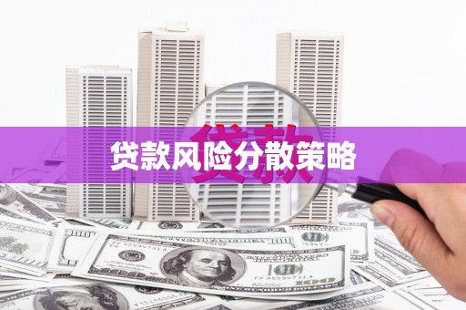西吉贷款风险分散策略