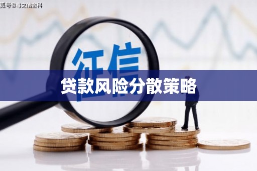 西吉贷款风险分散策略
