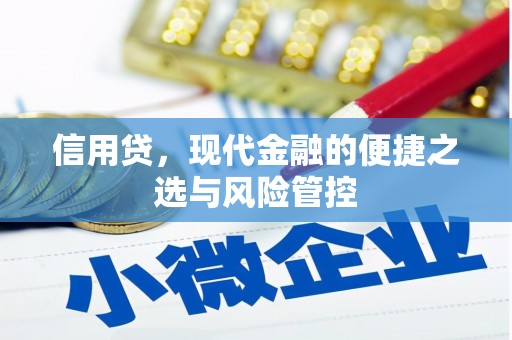 西吉信用贷，现代金融的便捷之选与风险管控