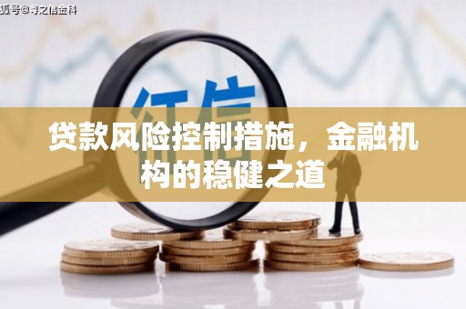 西吉贷款风险控制措施，金融机构的稳健之道