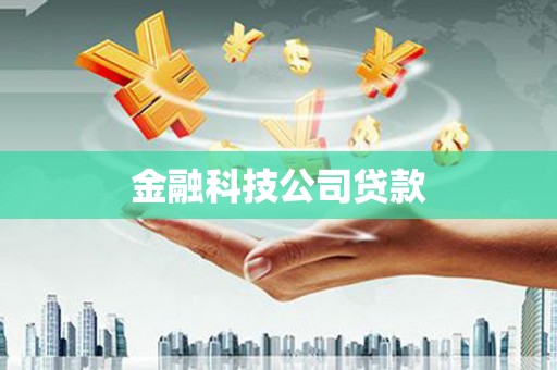 西吉金融科技公司贷款