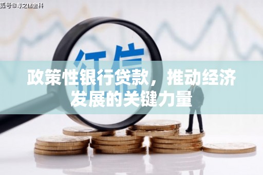 西吉政策性银行贷款，推动经济发展的关键力量