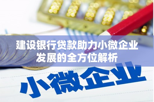 西吉建设银行贷款助力小微企业发展的全方位解析