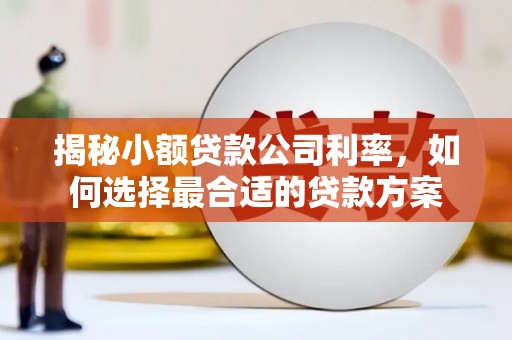 西吉揭秘小额贷款公司利率，如何选择最合适的贷款方案