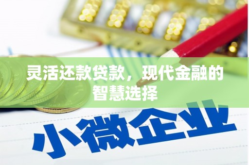 西吉灵活还款贷款，现代金融的智慧选择