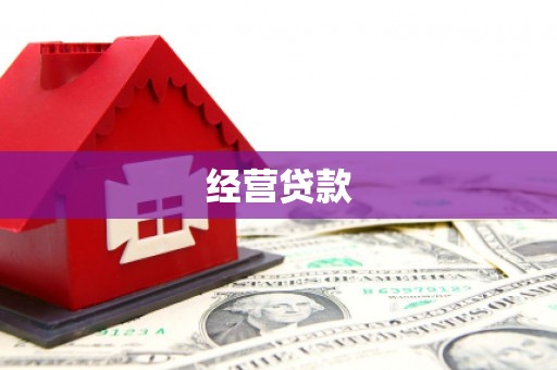 西吉经营贷款