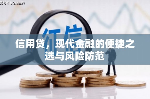 西吉信用贷，现代金融的便捷之选与风险防范