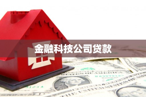 西吉金融科技公司贷款