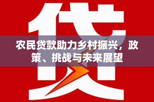西吉农民贷款助力乡村振兴，政策、挑战与未来展望