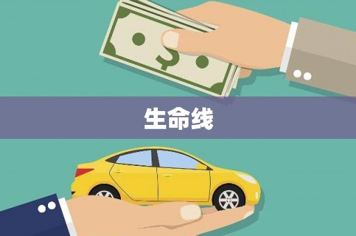西吉生命线