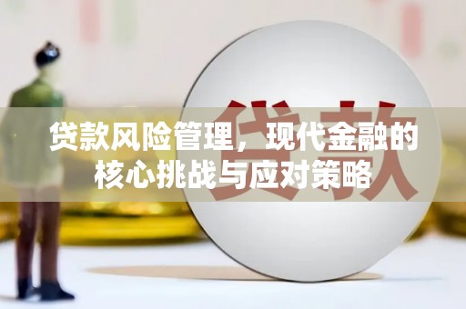 西吉贷款风险管理，现代金融的核心挑战与应对策略