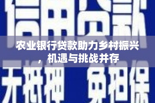西吉农业银行贷款助力乡村振兴，机遇与挑战并存