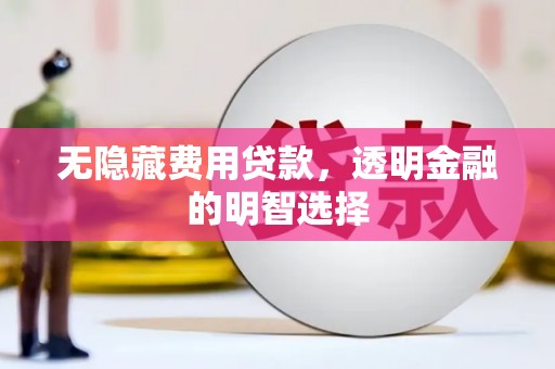 西吉无隐藏费用贷款，透明金融的明智选择