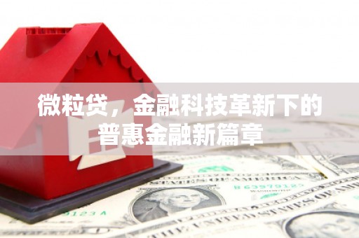 西吉微粒贷，金融科技革新下的普惠金融新篇章