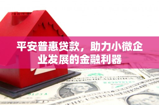 西吉平安普惠贷款，助力小微企业发展的金融利器