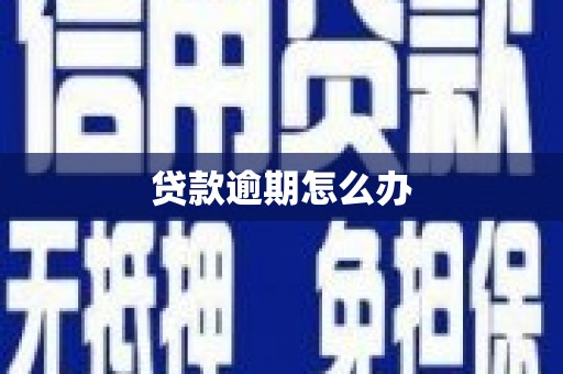 西吉贷款逾期怎么办