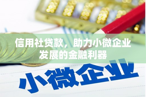 西吉信用社贷款，助力小微企业发展的金融利器