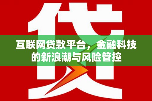 西吉互联网贷款平台，金融科技的新浪潮与风险管控