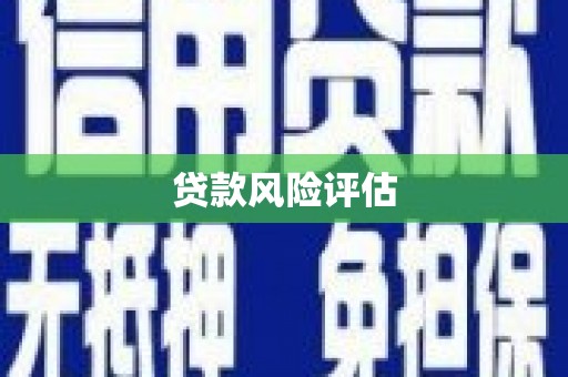 西吉贷款风险评估