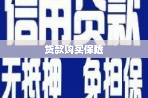 西吉贷款购买保险