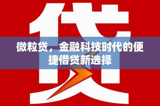 西吉微粒贷，金融科技时代的便捷借贷新选择