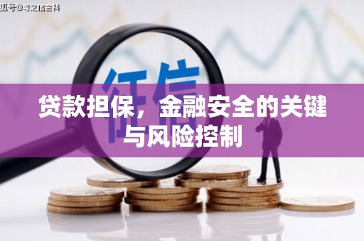 西吉贷款担保，金融安全的关键与风险控制