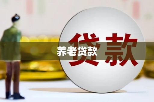 西吉养老贷款
