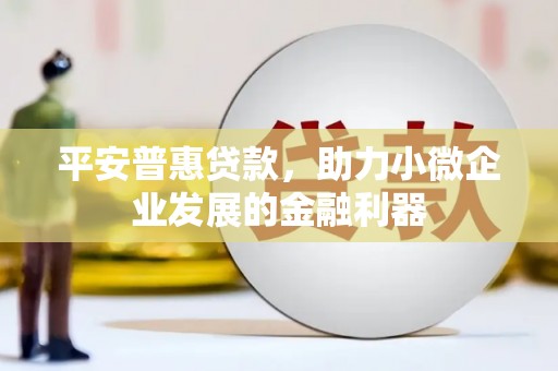 西吉平安普惠贷款，助力小微企业发展的金融利器